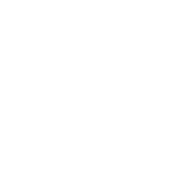 services_adult