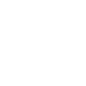 services_premarital